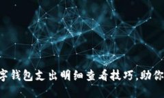 立即了解数字钱包支出明细查看技巧，助你理财