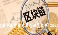 现在就学会加密货币钱包恢复技巧，2025必看!