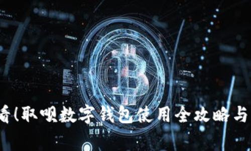 2025必看！取呗数字钱包使用全攻略与注意事项