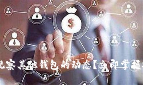 如何在TPWallet中观察其他钱包的动态?立即掌握安全技巧与实用方法