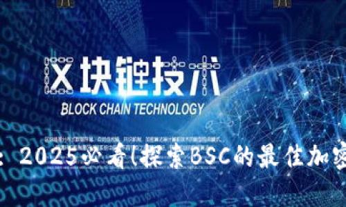 TPWallet: 2025必看!探索BSC的最佳加密钱包选择