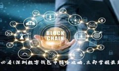 2025必看！深圳数字钱包申请全攻略，立即掌握最