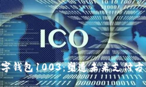 2025必看！数字钱包1003：塑造未来支付方式的创新之路