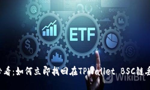 2025必看:如何立即找回在TPWallet BSC链丢失的币