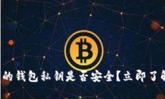 2025必看：TPWallet生成的钱包私钥是否安全？立即