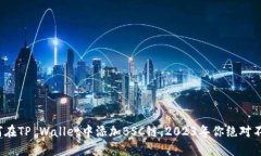 立即了解：如何在TP Wallet中添加BSC链，2023年你绝
