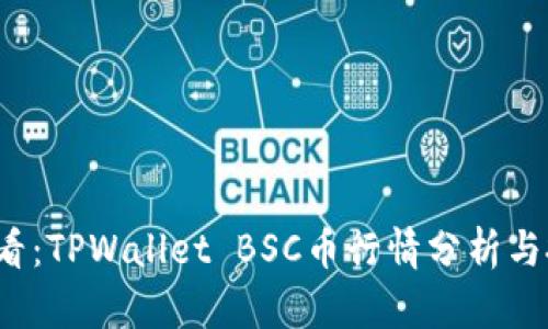 2025必看：TPWallet BSC币行情分析与投资指导