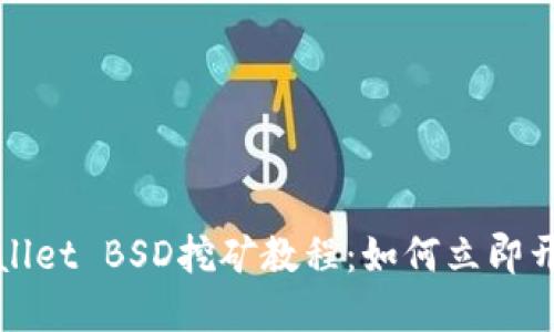 2025必看!TPWallet BSD挖矿教程:如何立即开始赚取加密货币