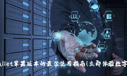 2025必看：tpwallet苹果版本的最佳使用指南！立即体验数字资产管理的魅力