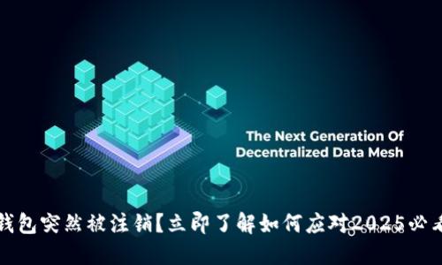数字钱包突然被注销？立即了解如何应对2025必看指南