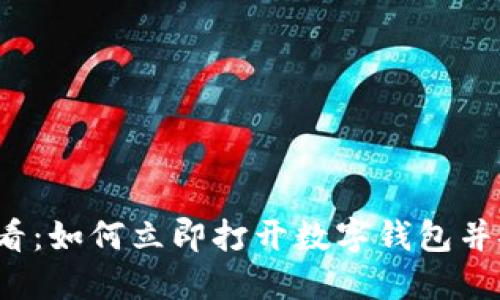 2025必看：如何立即打开数字钱包并安全使用