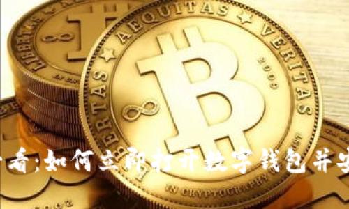 2025必看：如何立即打开数字钱包并安全使用