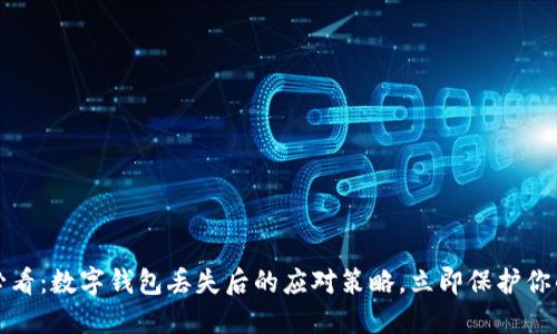 2025必看：数字钱包丢失后的应对策略，立即保护你的资产！