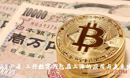 2025必看：工行数字钱包在上海的应用与未来发展