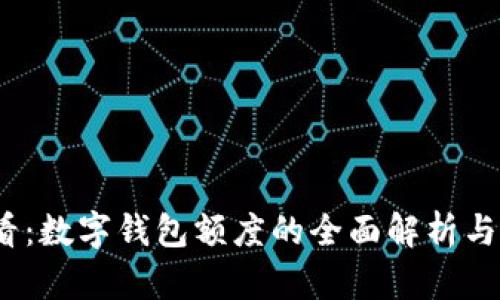 2025必看：数字钱包额度的全面解析与管理技巧
