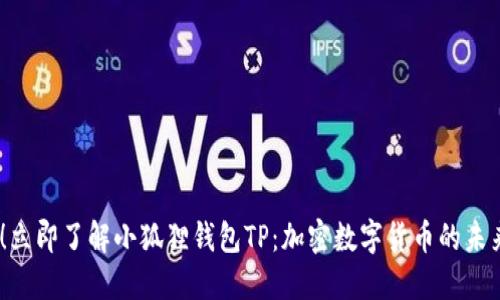 2025必看！立即了解小狐狸钱包TP：加密数字货币的未来投资之道