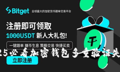 立即解决：2025必看加密钱包多重验证失败的应对策略