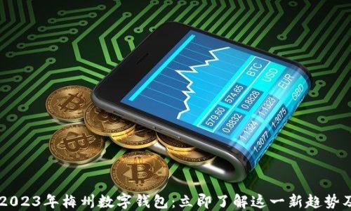 
biasoti2023年梅州数字钱包：立即了解这一新趋势及其影响