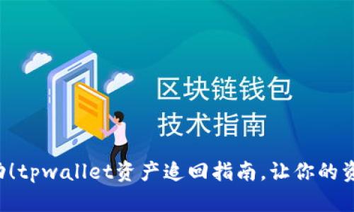 ilia立即行动！tpwallet资产追回指南，让你的资产安全无忧