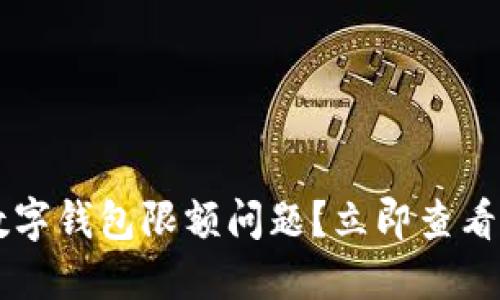 如何快速解决数字钱包限额问题?立即查看2025必看技巧!