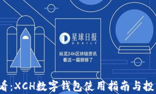 
2023年必看：XCH数字钱包使用指南与投资前景分析