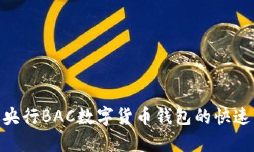 2025必看：央行BAC数字货币钱包的快速启动与发展