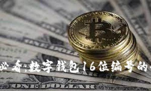 2025必看：数字钱包16位编号的全解析