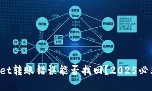 TPWallet转账错误能否找回？2025必看指南！
