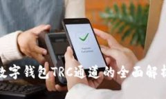 2025必看：数字钱包TRC通道的全面解析和应用指南