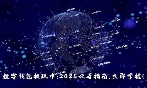 数字钱包提现中:2025必看指南,立即掌握!