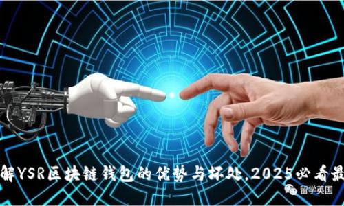 立刻了解YSR区块链钱包的优势与坏处,2025必看最新趋势