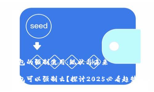 数字钱包的强制使用：现状与未来

数字钱包可以强制么？探讨2025必看趋势与变革