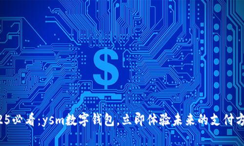 2025必看:ysm数字钱包,立即体验未来的支付方式!
