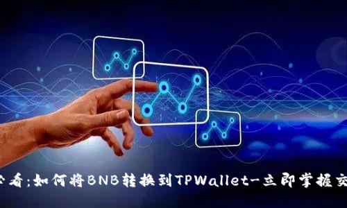 2025必看:如何将BNB转换到TPWallet-立即掌握交易技巧