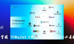 wenzi立即掌握 TPWallet K线图使用方法，