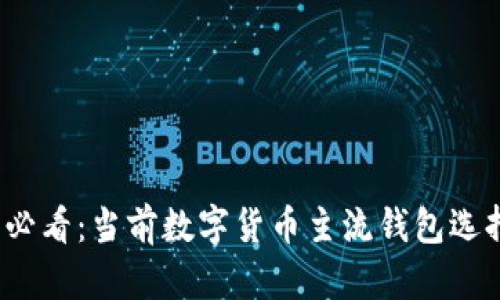 2025必看:当前数字货币主流钱包选择指南