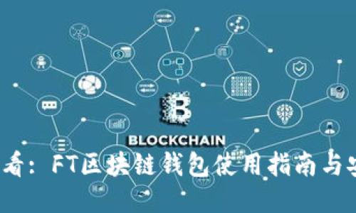 2023必看: FT区块链钱包使用指南与安全防护