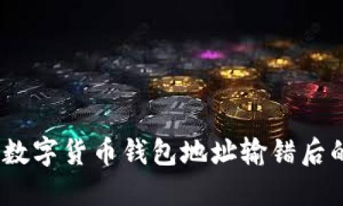 立即解决：数字货币钱包地址输错后的应对措施