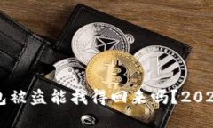 区块链钱包被盗能找得回来吗？2025必