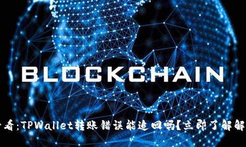 2025必看：TPWallet转账错误能追回吗？立即了解解决方案！