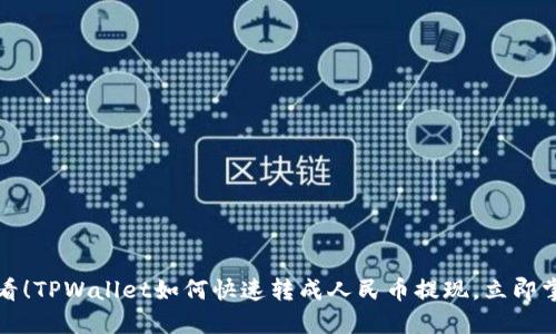 2025必看！TPWallet如何快速转成人民币提现，立即掌握技巧！