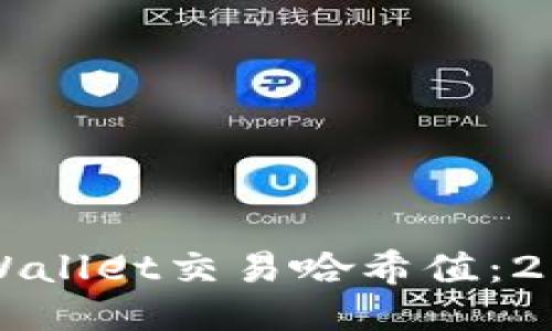 如何查询TPWallet交易哈希值：2025必看指南