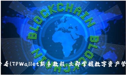 2025必看!TPWallet新手教程:立即掌握数字资产管理技巧