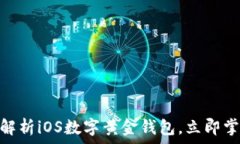  2025必看：全面解析iOS数字黄金钱包，