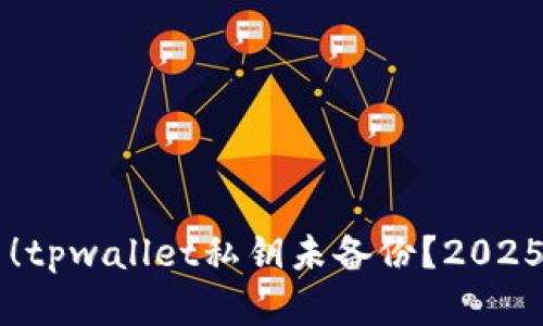 立即解决！tpwallet私钥未备份？2025必看指南