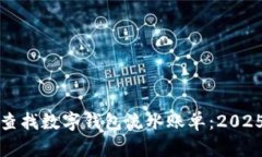 如何立即查找数字钱包流水账单：20