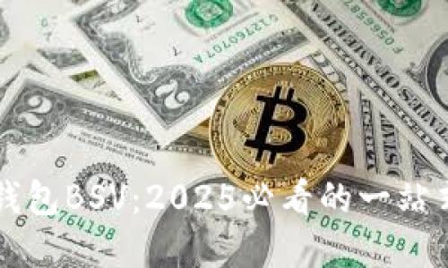 立即了解TP比特币钱包BSV:2025必看的一站式数字资产管理工具