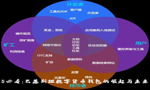 2025必看:巴基斯坦数字货币钱包的崛起与未来发展
