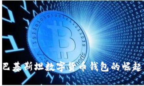 2025必看:巴基斯坦数字货币钱包的崛起与未来发展