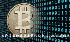 立即了解数字货币钱包公钥：2025必看